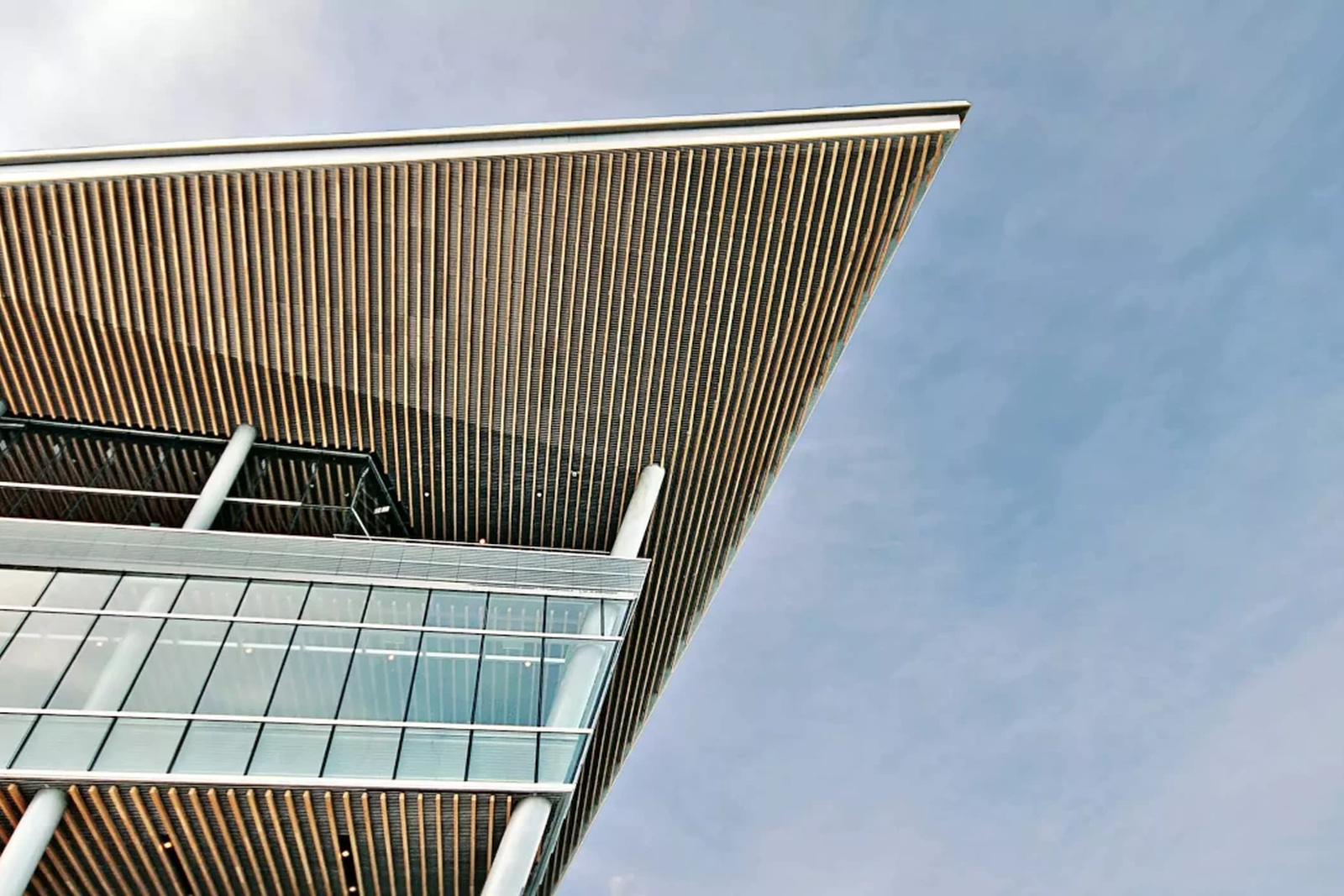 The Appeal of Simple Materials Used Well